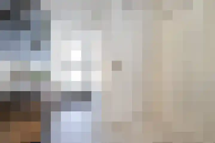 Johan Frisolaan 7 Den Bommel thumbnail 5