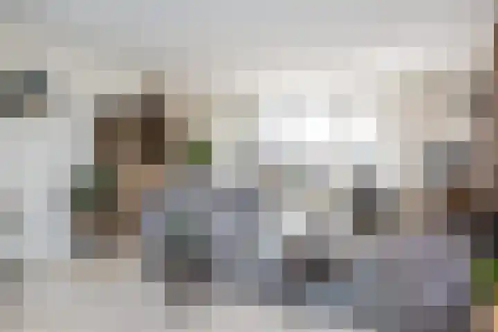Johan Frisolaan 7 Den Bommel thumbnail 6