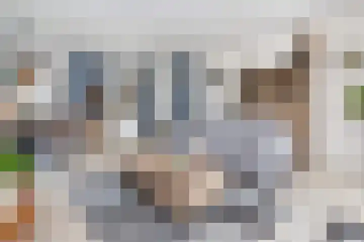 Johan Frisolaan 7 Den Bommel thumbnail 7