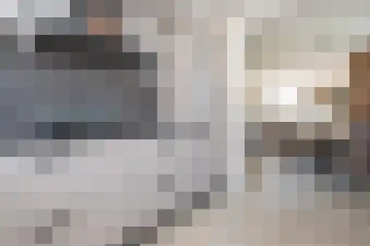 Johan Frisolaan 7 Den Bommel thumbnail 9