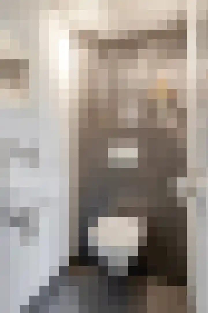 Johan Frisopark 105 Best thumbnail 10