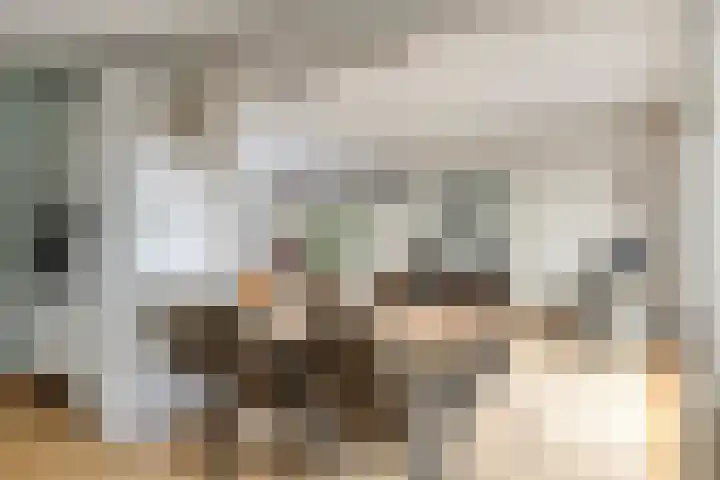 Johan Frisopark 105 Best thumbnail 20