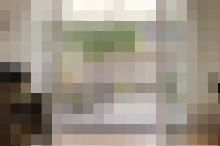 Johan Frisopark 105 Best thumbnail 21