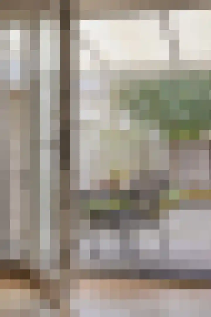 Johan Frisopark 105 Best thumbnail 22