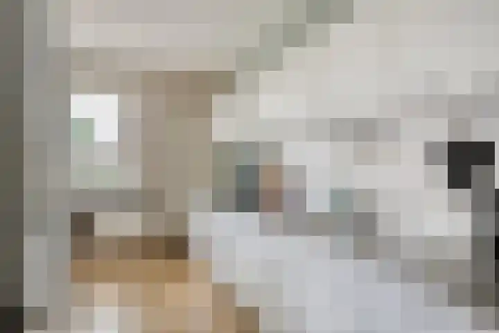 Johan Frisopark 105 Best thumbnail 25