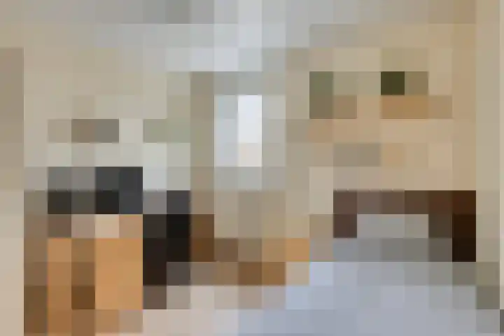 Johan Frisopark 105 Best thumbnail 34