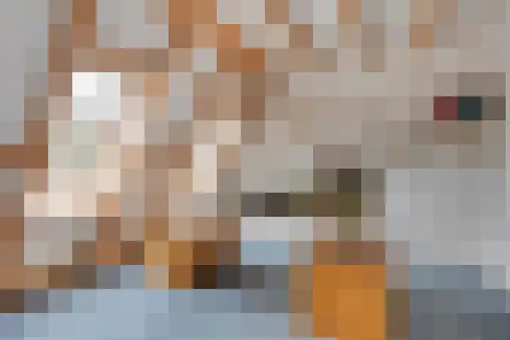 Johan Frisopark 105 Best thumbnail 38