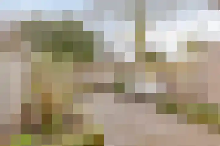 Johan Frisopark 105 Best thumbnail 41