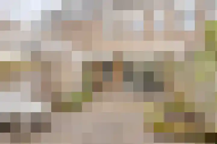Johan Frisopark 105 Best thumbnail 42