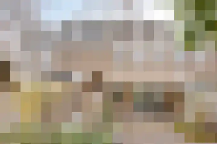 Johan Frisopark 105 Best thumbnail 43