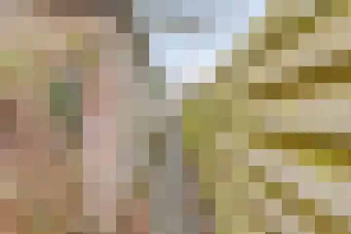 Johan Frisopark 105 Best thumbnail 44
