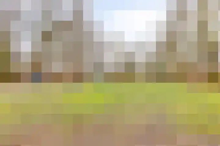 Johan Frisopark 105 Best thumbnail 46