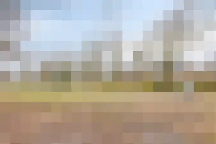 Johan Frisopark 105 Best thumbnail 47