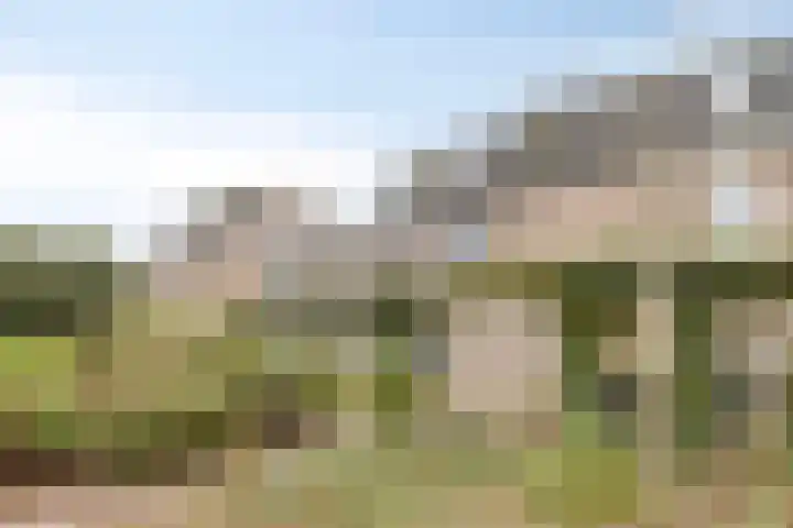 Johan Frisopark 105 Best thumbnail 6