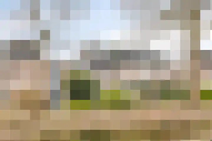 Johan Frisopark 105 Best thumbnail 7
