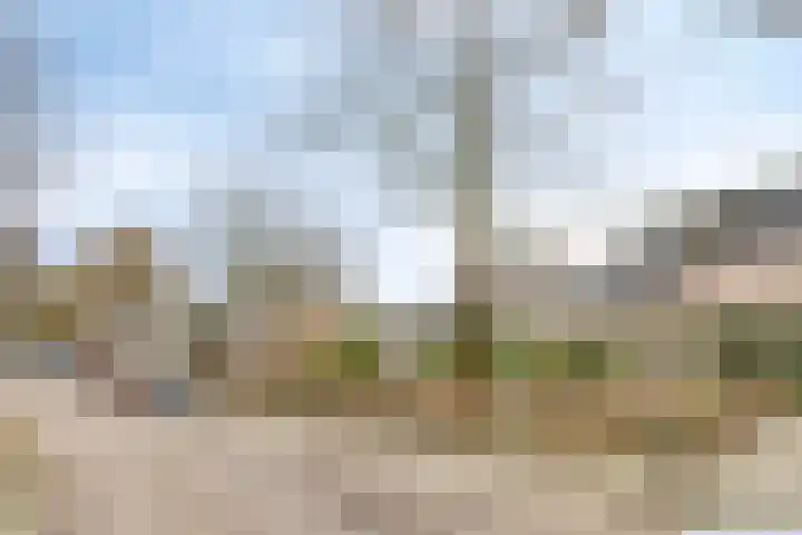 Johan Frisopark 105 Best thumbnail 8