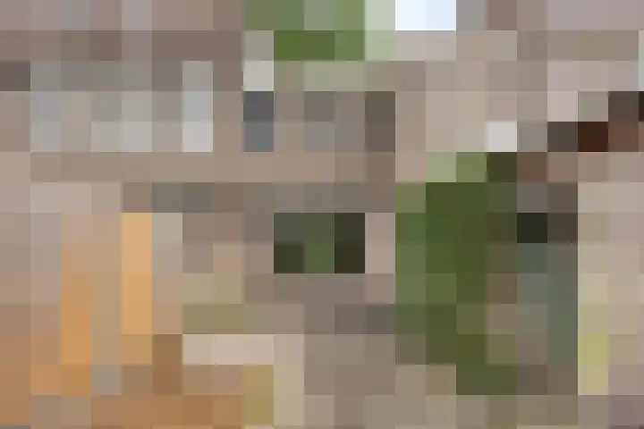 Johan Frisopark 131 Best thumbnail 22