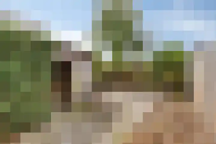 Johan Frisopark 131 Best thumbnail 23