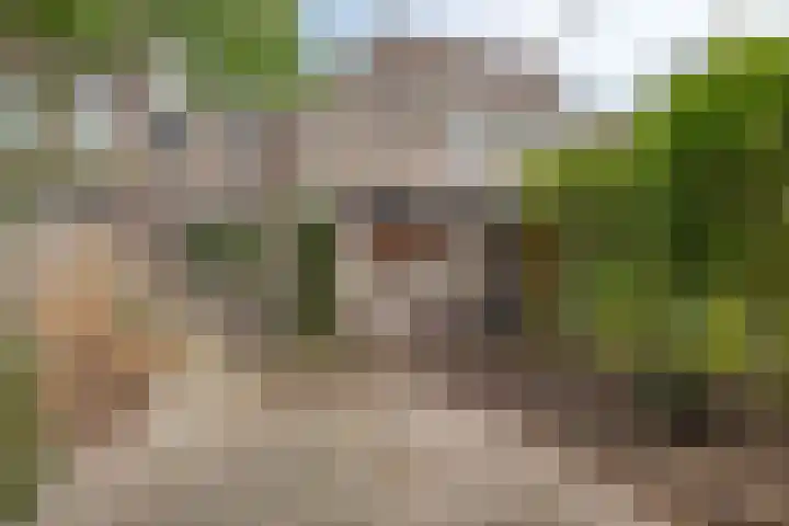 Johan Frisopark 131 Best thumbnail 24