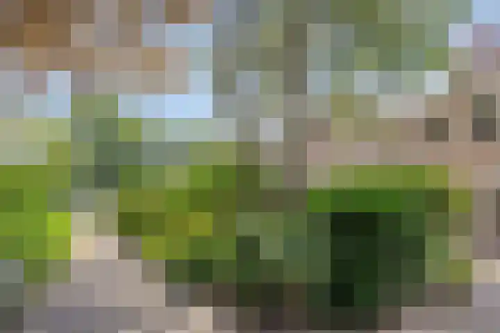 Johan Frisopark 131 Best thumbnail 25