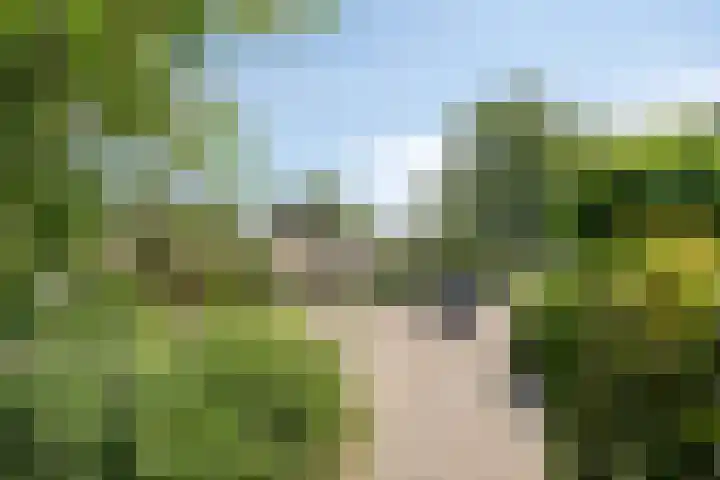 Johan Frisopark 131 Best thumbnail 26