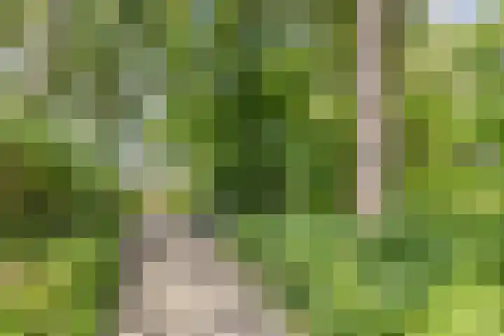 Johan Frisopark 131 Best thumbnail 27