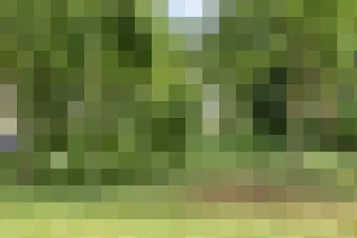 Johan Frisopark 131 Best thumbnail 28