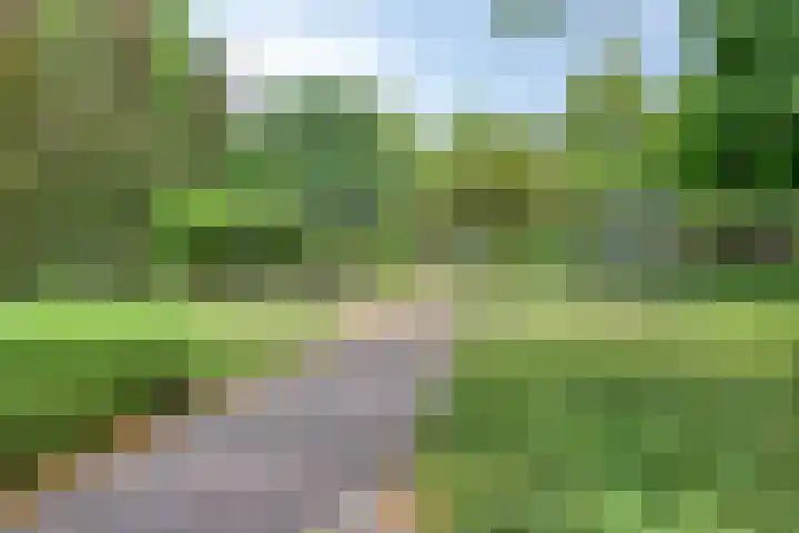 Johan Frisopark 131 Best thumbnail 29