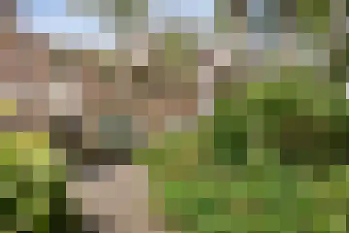 Johan Frisopark 131 Best thumbnail 4