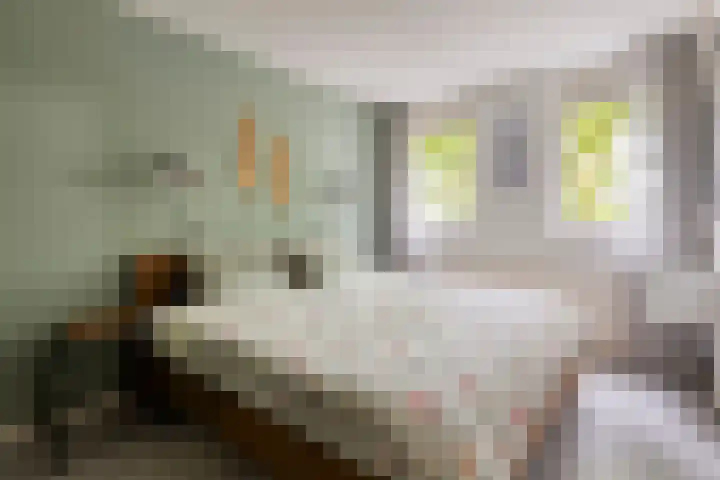 Johan Frisopark 20 Best thumbnail 24