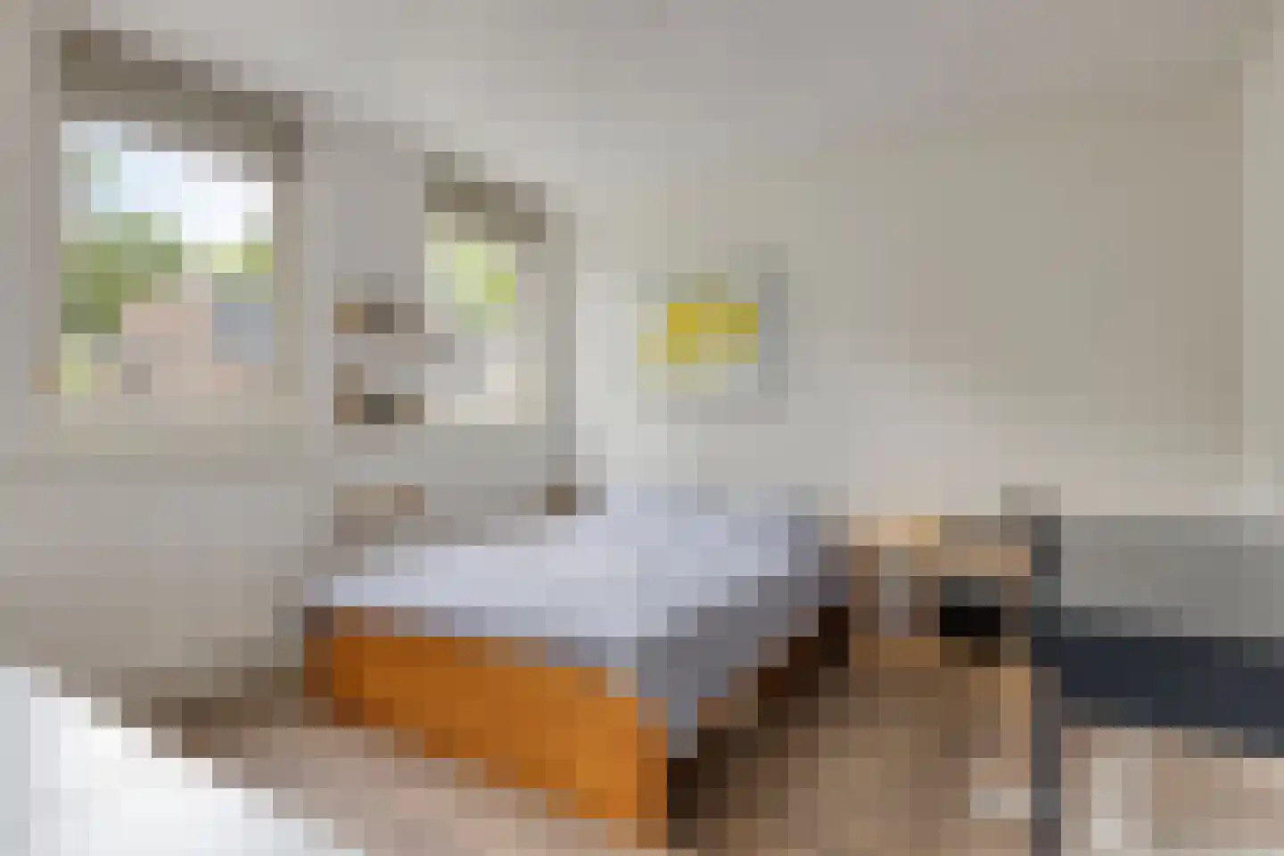 Johan Frisopark 20 Best thumbnail 28