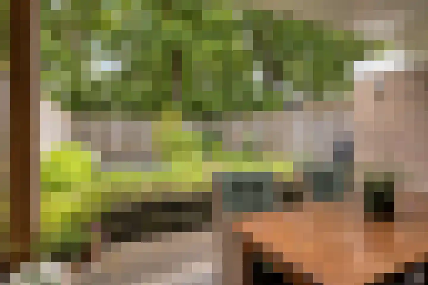 Johan Frisopark 20 Best thumbnail 44