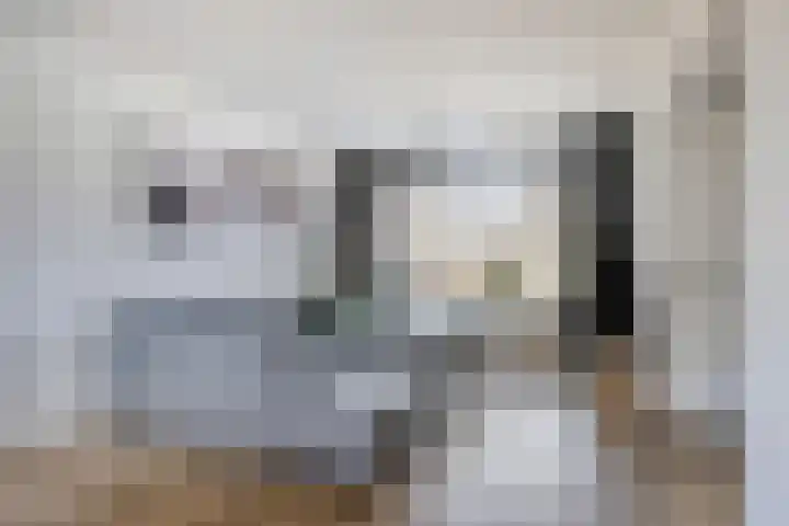 Johan Frisopark 27 Best thumbnail 12