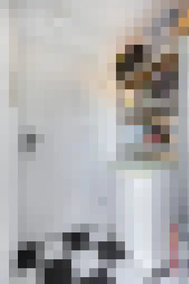 Johan Frisopark 27 Best thumbnail 21