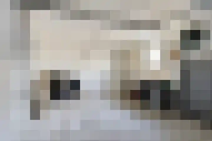Johan Frisopark 27 Best thumbnail 24