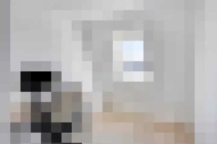 Johan Frisopark 27 Best thumbnail 41