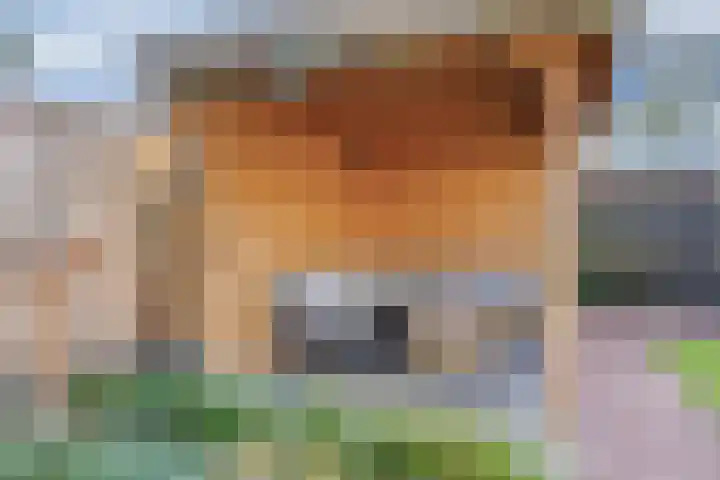 Johan Frisopark 27 Best thumbnail 47