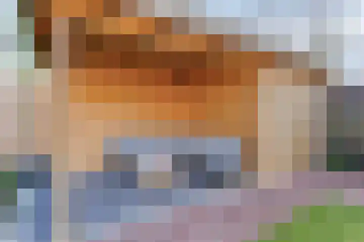 Johan Frisopark 27 Best thumbnail 49