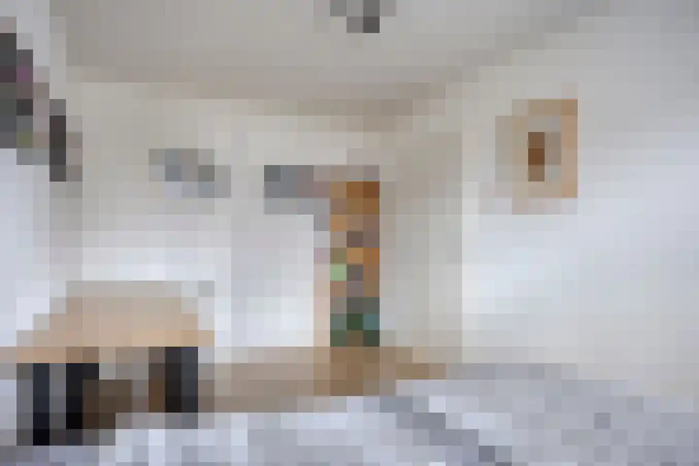 Johan Frisopark 39 Best thumbnail 24