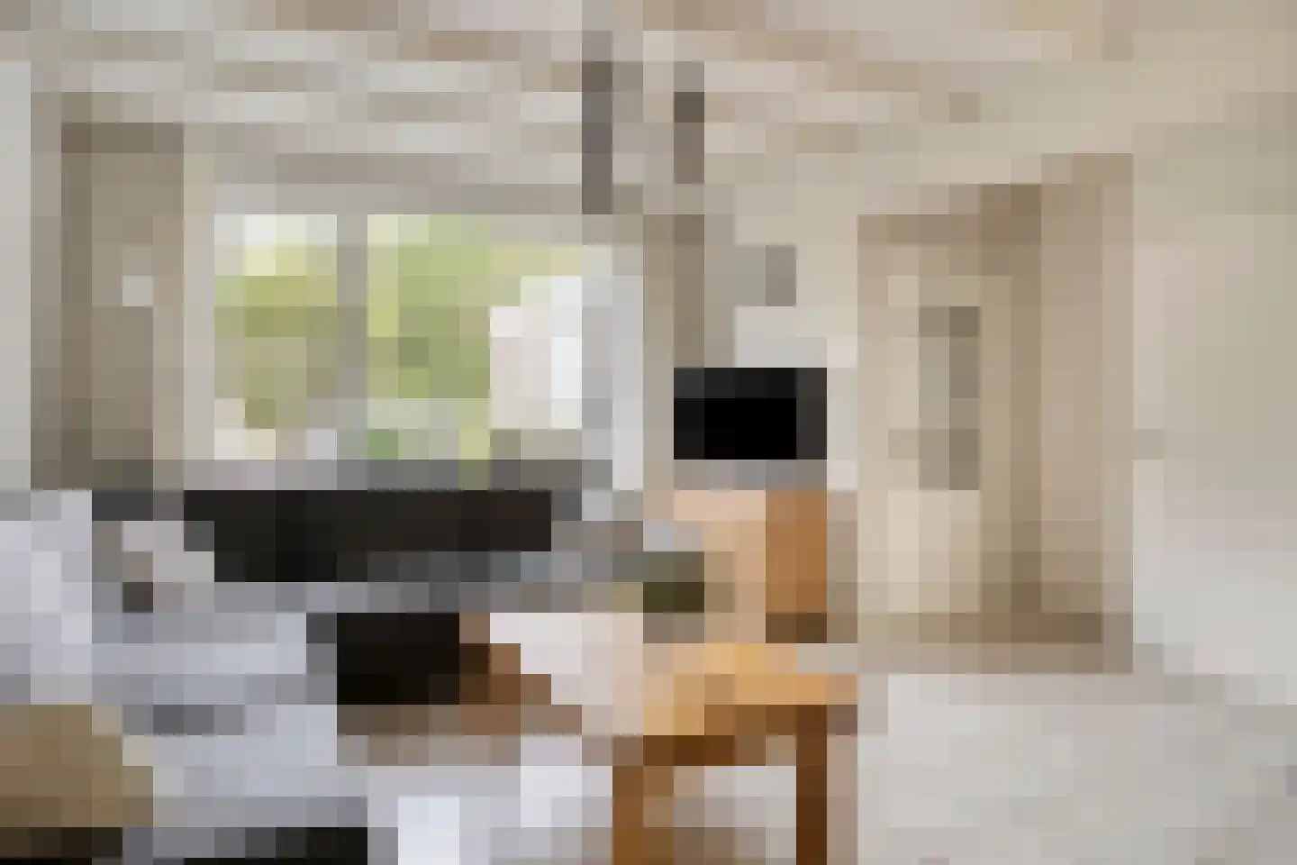 Johan Frisopark 66 Best thumbnail 10
