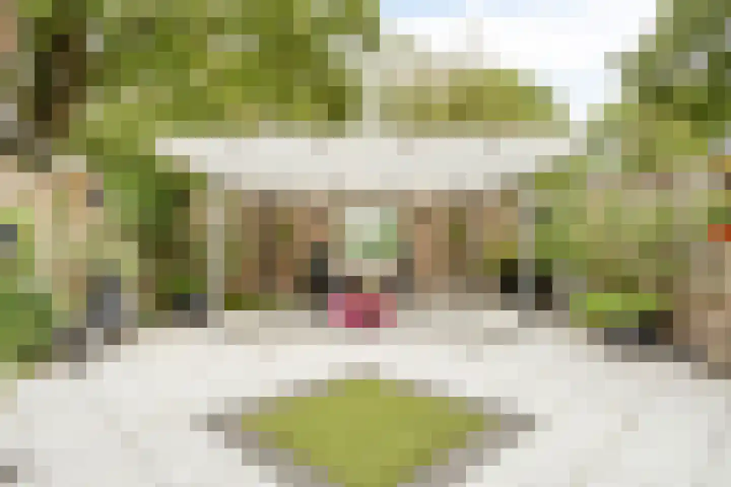 Johan Frisopark 66 Best thumbnail 30