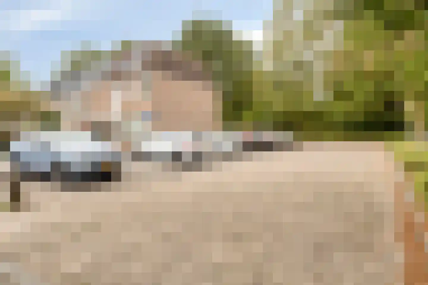Johan Frisopark 66 Best thumbnail 33