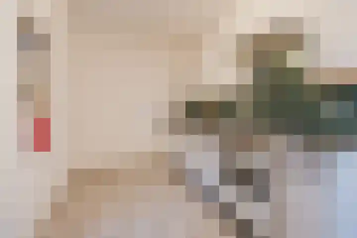 Johan Frisopark 74 Best thumbnail 13