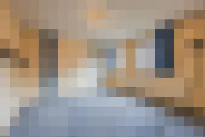 Johan Frisopark 74 Best thumbnail 16