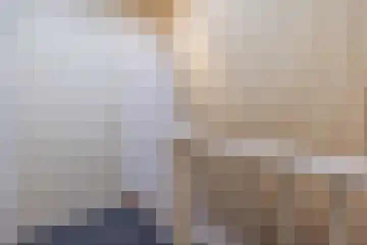 Johan Frisopark 74 Best thumbnail 24