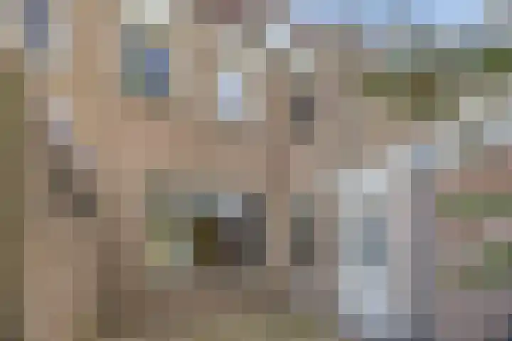 Johan Frisopark 74 Best thumbnail 30