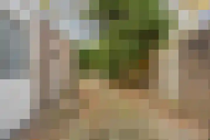Johan Frisopark 74 Best thumbnail 31