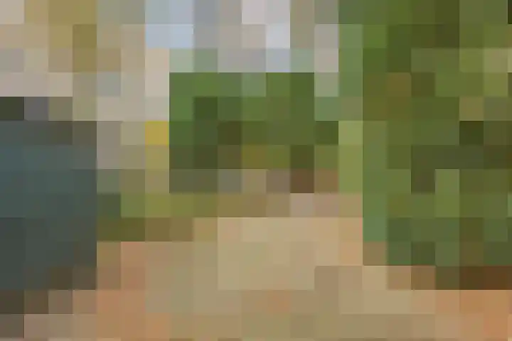 Johan Frisopark 74 Best thumbnail 33