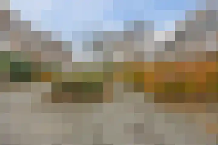 Johan Frisopark 74 Best thumbnail 34