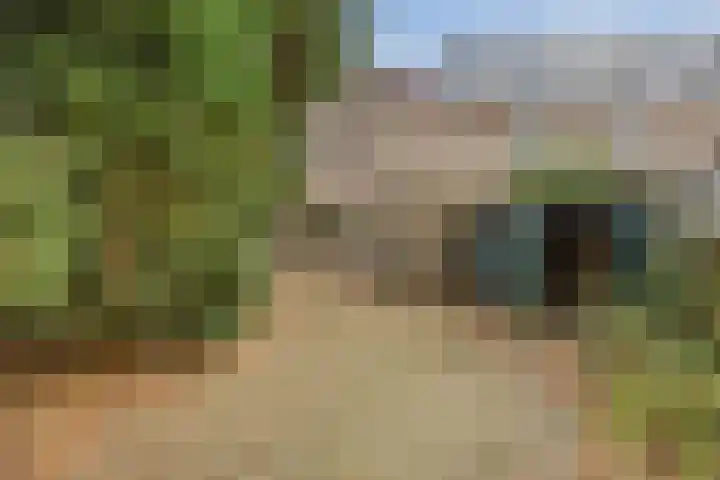 Johan Frisopark 74 Best thumbnail 5